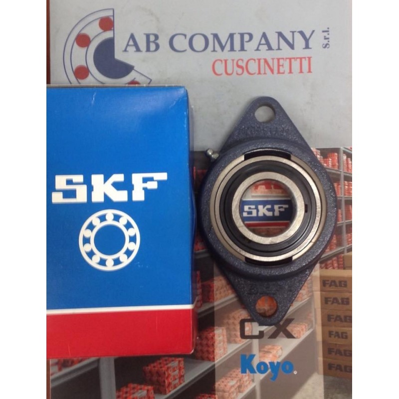 Supporto FY 60 TF SKF 60x175x73,7 Weight 3,9889